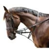 Kincade Web Market Harborough/German Martingale - Black -Equestrian Supplies Shop 474407 800 800