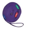 Kincade Two Tone Lunge Line With Circle Markers - Purple/Black -Equestrian Supplies Shop 474511 800 800