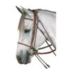 Kincade Gogue - Brown -Equestrian Supplies Shop 474515 800 800