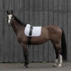 Horze Vaulting Surcingle - Black -Equestrian Supplies Shop 480027 800 800