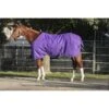Kensington Signature Heavy Weight Turnout - Purple 2 Kensington Signature Heavy Weight Turnout - Purple -Equestrian Supplies Shop 480157 800 800