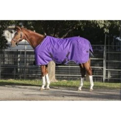 Kensington Signature Heavy Weight Turnout - Purple