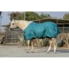 Kensington Signature Light Weight Turnout - Harbor -Equestrian Supplies Shop 480928 800 800