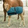 Kensington Signature Adjustable Foal Turnout - Harbor -Equestrian Supplies Shop 481195 800 800