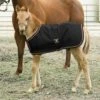 Kensington Signature Adjustable Foal Turnout - Black -Equestrian Supplies Shop 481207 800 800