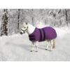 Kensington Signature Mini Light Weight Turnout - Purple 2 Kensington Signature Mini Light Weight Turnout - Purple -Equestrian Supplies Shop 481248 800 800