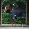 Weatherbeeta Green-Tec Stable Standard Neck Medium/Lite - Black/Bottle Green -Equestrian Supplies Shop 482461 800 800