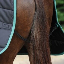 Weatherbeeta Green-Tec Stable Standard Neck Medium/Lite - Black/Bottle Green -Equestrian Supplies Shop 482466 800 800