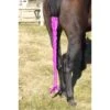 Centaur Spandex Braid-n-Tail Bag - Pink -Equestrian Supplies Shop 487188 800 800