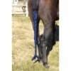 Centaur Spandex Braid-n-Tail Bag - Navy -Equestrian Supplies Shop 487238 800 800