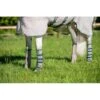 Rambo Flyboot Airmesh W/o Vamoose - Oatmeal/Sage/Beige/Green -Equestrian Supplies Shop 488428 800 800