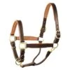 Perri's 1" Padded Leather Halter - Havana/Camel