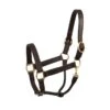 Perri's Heavy Weight Leather Track Halter - Havana -Equestrian Supplies Shop 500277 800 800