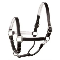 Perri's 1" Padded Leather Halter - Black/White