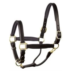 Perri's 1" Padded Leather Halter - Black/Black/Brass