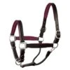 Perri's 1" Padded Leather Halter - Black/Burgundy 2 Perri's 1" Padded Leather Halter - Black/Burgundy -Equestrian Supplies Shop 500369 800 800