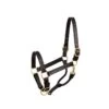 Perri's 1" Leather Show Halter - Black/Brass -Equestrian Supplies Shop 500391 800 800