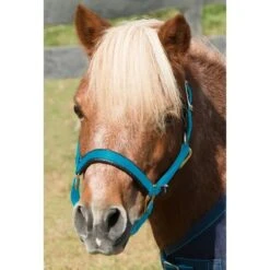 Shires Mini Topaz Halter - Blue