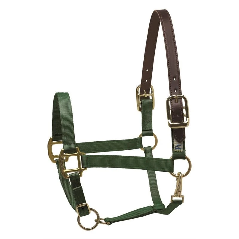 Perri's Nylon Safety Halter - Hunter Green 3 Perri's Nylon Safety Halter - Hunter Green