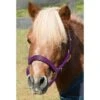 Shires Mini Topaz Halter - Purple -Equestrian Supplies Shop 500453 800 800