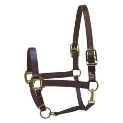 Perri's Nylon Safety Halter - Navy