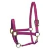 Perri's Nylon SuperHalter - Raspberry -Equestrian Supplies Shop 500528 800 800