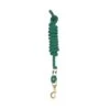 Perri's 5/8" Nylon Lead W/Snap - Hunter Green -Equestrian Supplies Shop 500582 800 800
