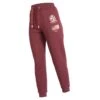 Shires Aubrion Women's Team Joggers - Burgundy
