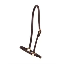 Perri's 3/4" Grooming Halter - Havana