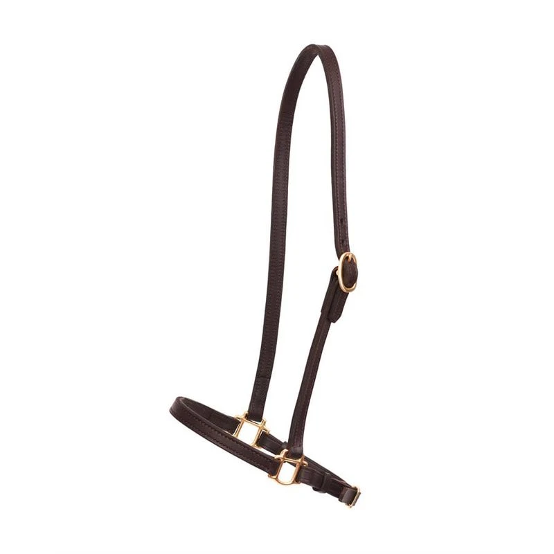 Perri's 3/4" Grooming Halter - Havana 3 Perri's 3/4" Grooming Halter - Havana