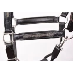 Perri's Silver Bling Padded Leather Halter - Black -Equestrian Supplies Shop 503196 800 800