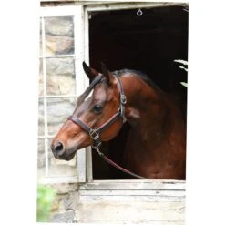 Perri's 1" Metallic Padded Leather Halter - Black/Gun Metal -Equestrian Supplies Shop 503211 800 800