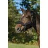 Shires ARMA Supafleece Halter Set - Black -Equestrian Supplies Shop 503215 800 800