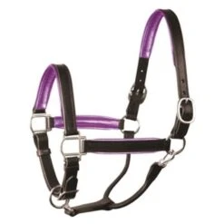 Perri's 1" Metallic Padded Leather Halter - Black/Purple Metallic