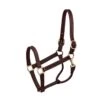 Perri's 1" Professional Leather Show Halter - Havana -Equestrian Supplies Shop 503563 800 800
