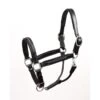 Perri's Chevron Bling Padded Leather Halter - Black -Equestrian Supplies Shop 503809 800 800