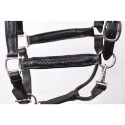 Perri's Chevron Bling Padded Leather Halter - Black -Equestrian Supplies Shop 503811 800 800