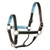 Perri's 1" Metallic Padded Leather Halter - Black/Turquoise -Equestrian Supplies Shop 504156 800 800