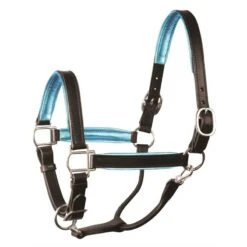Perri's 1" Metallic Padded Leather Halter - Black/Turquoise