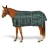 Pessoa Alpine1200D Turnout 180g W/Belly Cover - Basil Green/Black Plaid -Equestrian Supplies Shop 531567 800 800