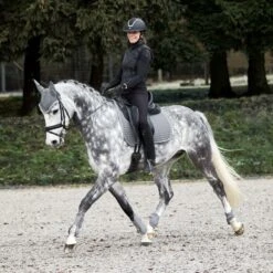 Horze Adepto Tendon Boots - Steel Grey -Equestrian Supplies Shop 533465 800 800