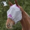 Weatherbeeta Comfitec Durable Mesh Mask - Grey/Purple -Equestrian Supplies Shop 534613 800 800