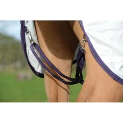 Weatherbeeta Comfitec Essential Mesh II Standard Neck - White/Maroon/Grey -Equestrian Supplies Shop 535173 800 800