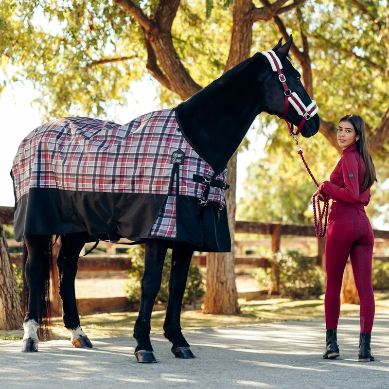 Horze Women's Tara Full Seat Breeches - Anemone Dark Pink 5 Horze Women's Tara Full Seat Breeches - Anemone Dark Pink - Image 3