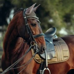 B Vertigo Drew Ear Net - Cub Brown 7 B Vertigo Drew Ear Net - Cub Brown -Equestrian Supplies Shop 545025 800 800