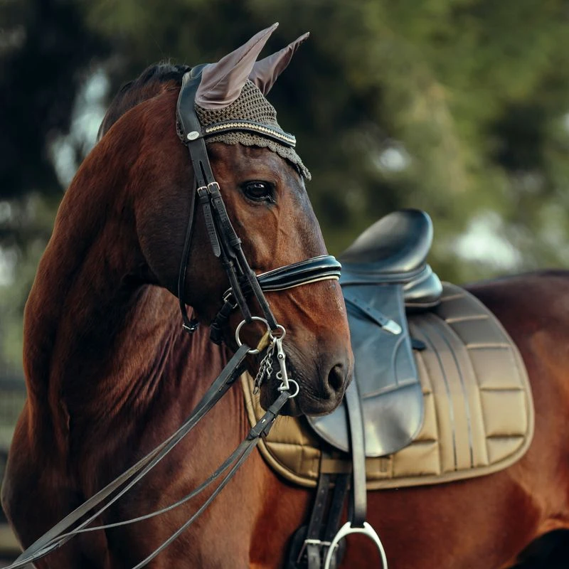 B Vertigo Drew Ear Net - Cub Brown 5 B Vertigo Drew Ear Net - Cub Brown - Image 3