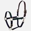 Equinavia Pegasus Ribbon Breakaway Halter - Blue/Geen Polka Dots
