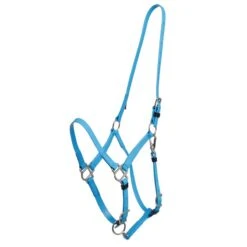 Zilco Deluxe Endurance Bridle/Halter Cavesson Only - Electric Blue