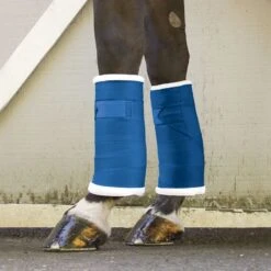 Toklat Standing Bandages - Blue