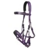 Zilco Marathon Endurance Bridle - Purple -Equestrian Supplies Shop 548502 800 800